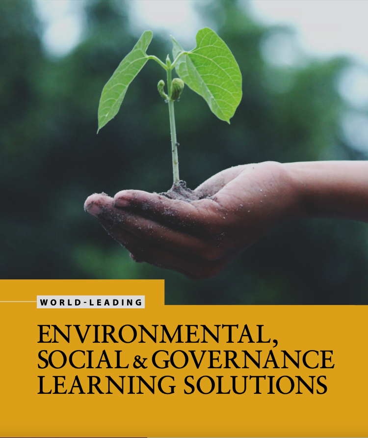 Cambridge Judge Business School ESG And Sustainability learning solutions brochure