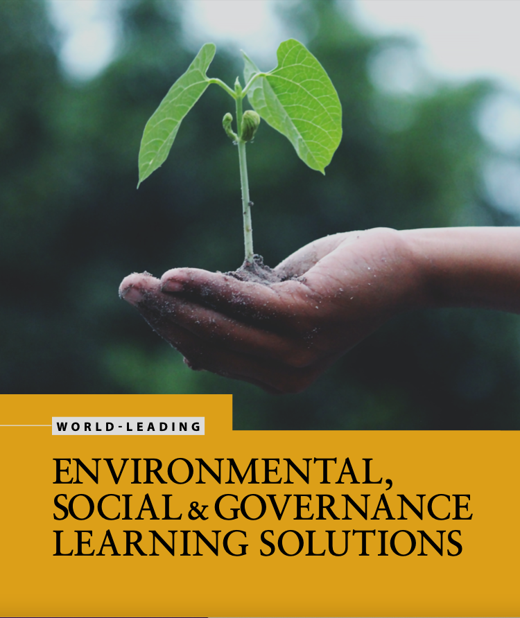 Cambridge Judge Business School ESG Executive Education learning brochure